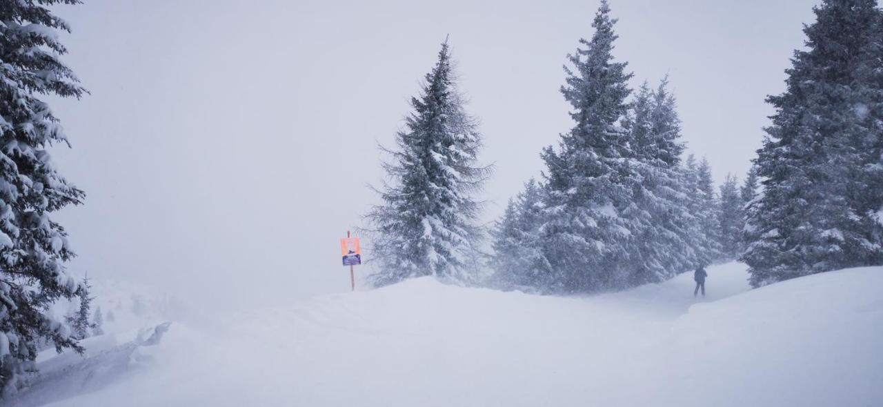 Pension Luzenberg アウフファッハ エクステリア 写真