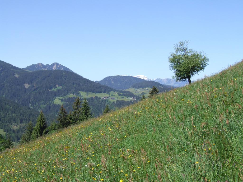 Pension Luzenberg アウフファッハ エクステリア 写真