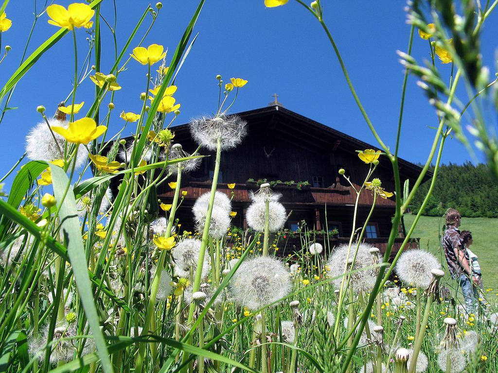 Pension Luzenberg アウフファッハ エクステリア 写真